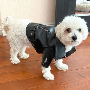 Dog Biker Jacket Black PU Small-Medium 15-20lbs